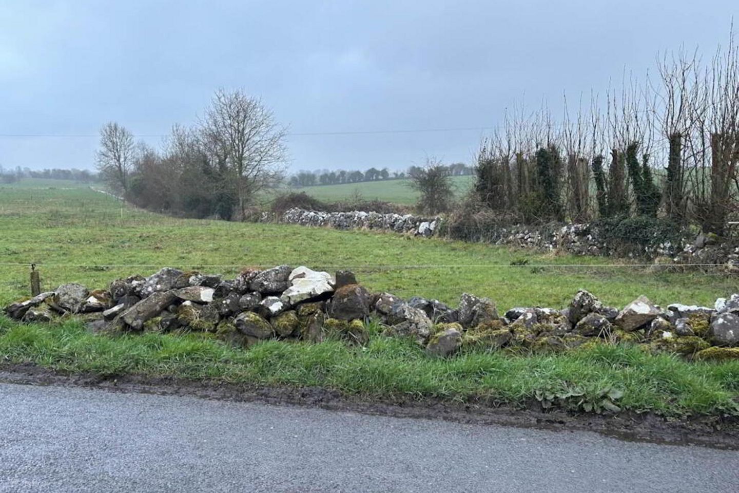 Ballingirlough, Bruff, Co. Limerick — photo 1