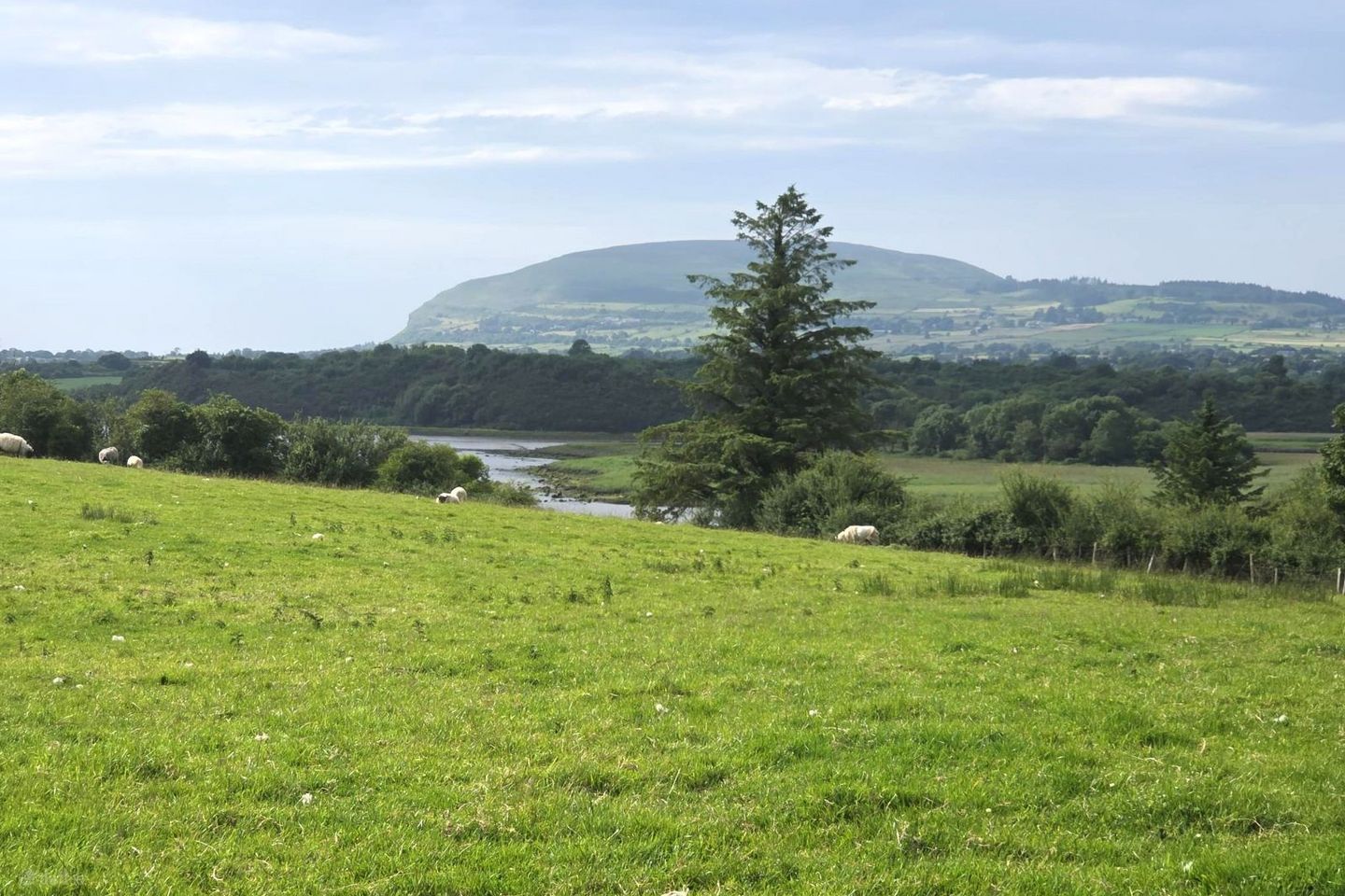 Crockacullion, Beltra, Beltra, Co. Sligo, F91D3C8 — photo 1