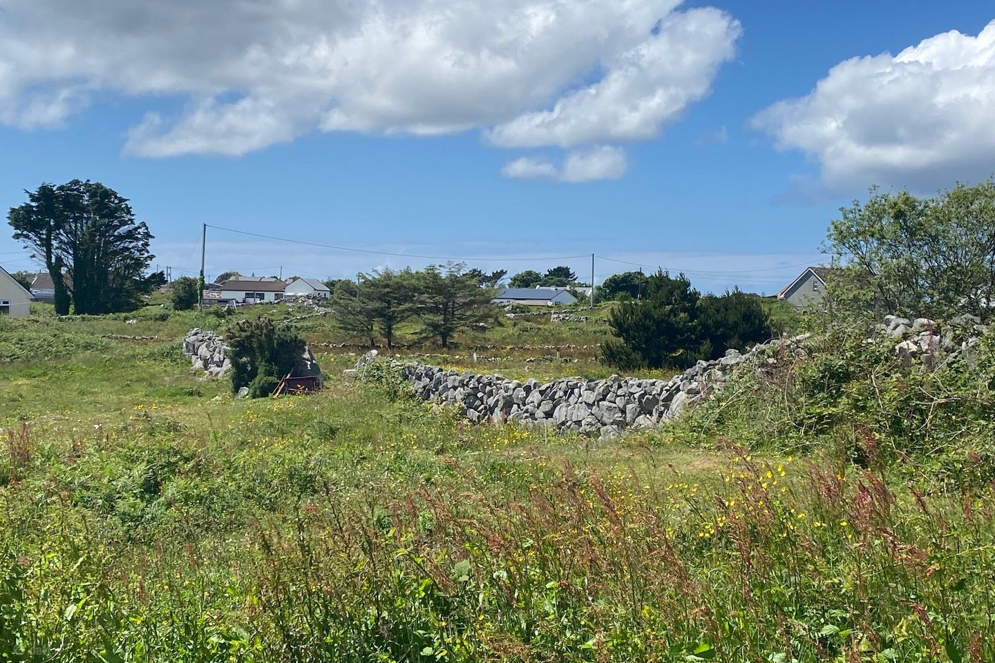 Site..jpg