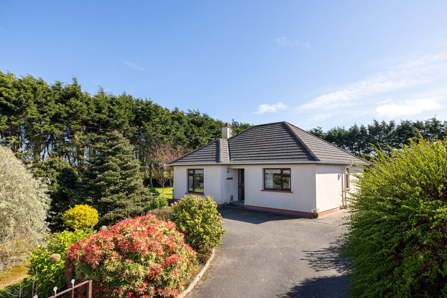The Willows, Sarshill, Kilmore, Co. Wexford, Y35FK64 — photo 1
