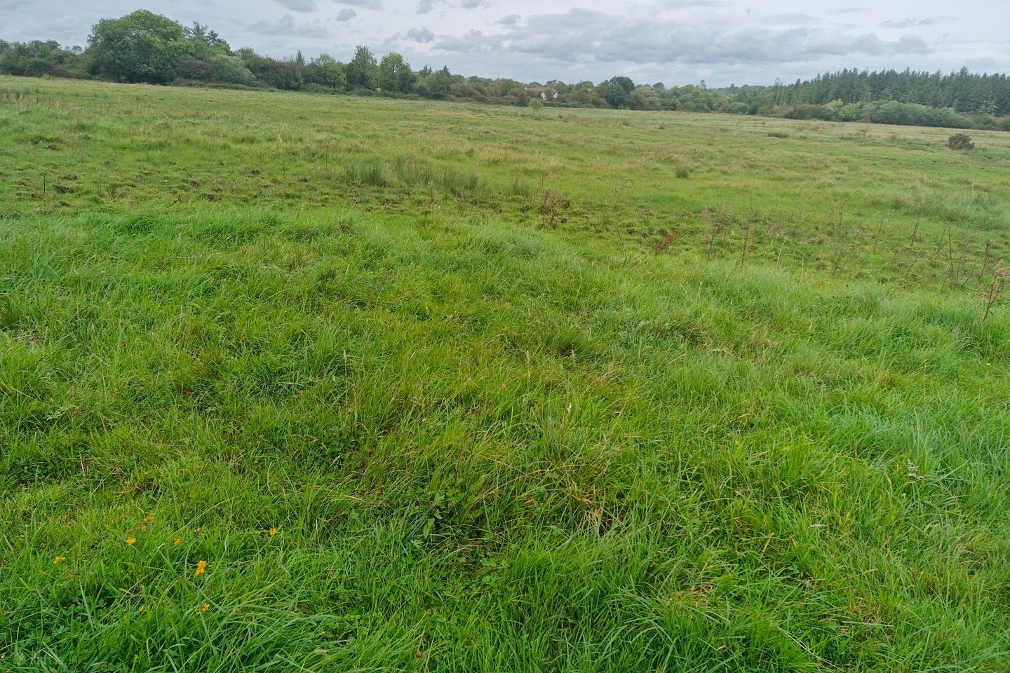 Moher, Ballinasloe, Co. Galway — photo 1