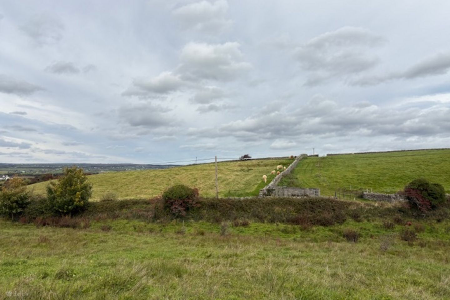 Deerpark West, Ennistymon, Ennistymon, Co. Clare — photo 1