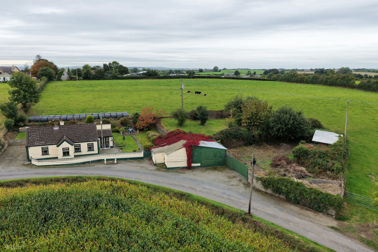 House, Workshop, Yard & Gardens, Mullagh Lane, Dromiskin, Co. Louth, A91 HT67 — photo 1
