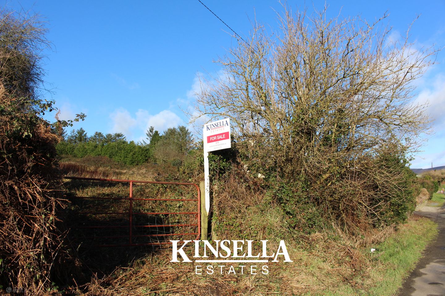Mount Pleasant, Tinahely, Co. Wicklow, Y14D821 — photo 1