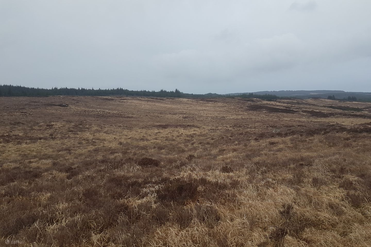 Tyreda Upper, Tulla, Co. Clare — photo 1