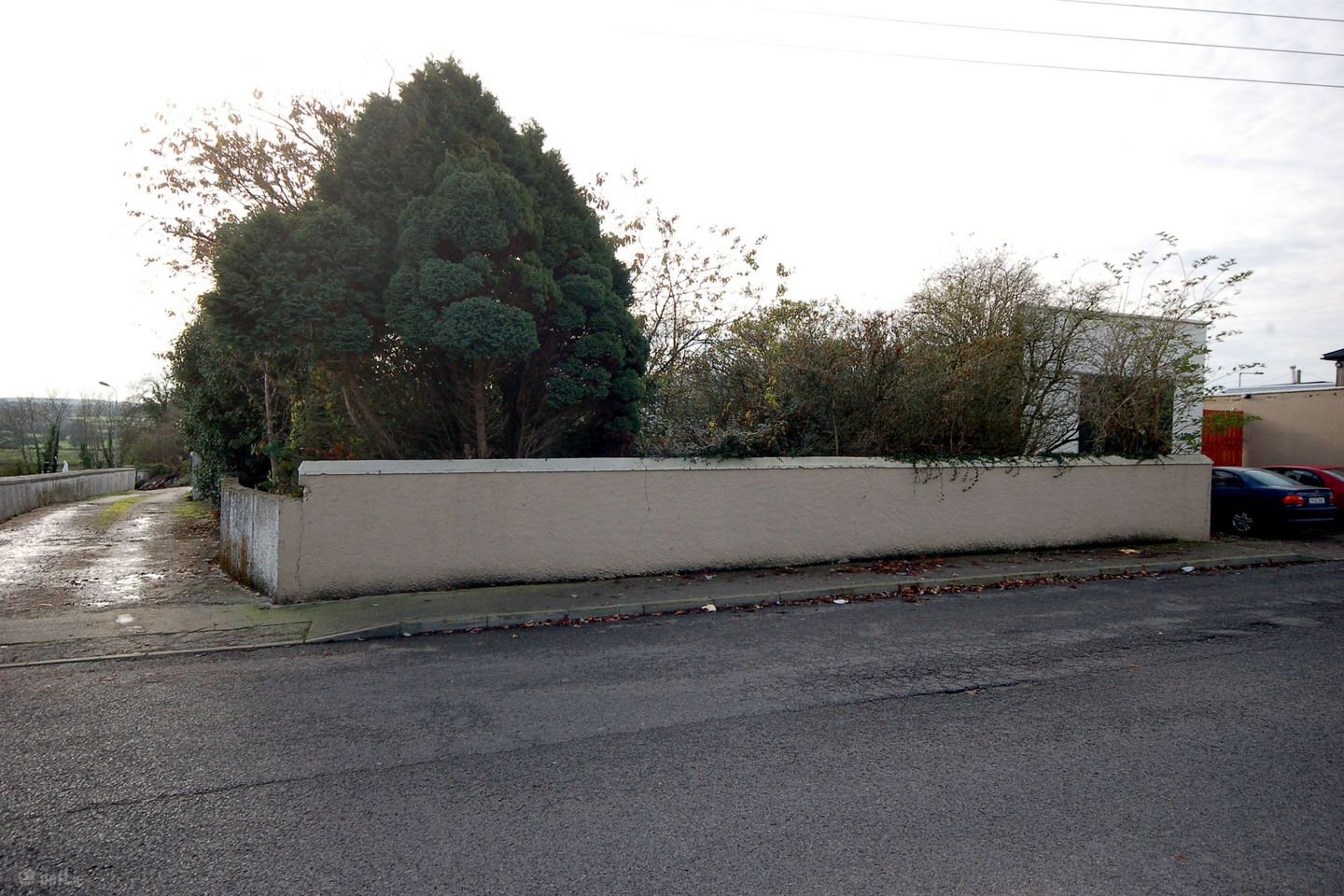 Front View