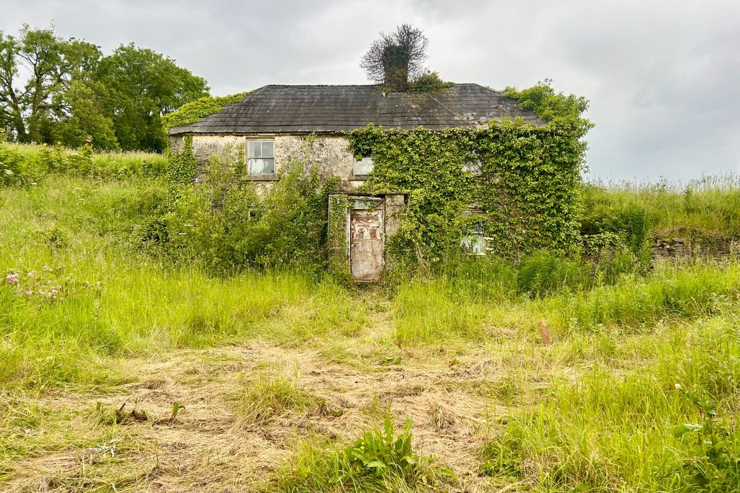 Farrow, Bunbrosna, Co. Westmeath — photo 1