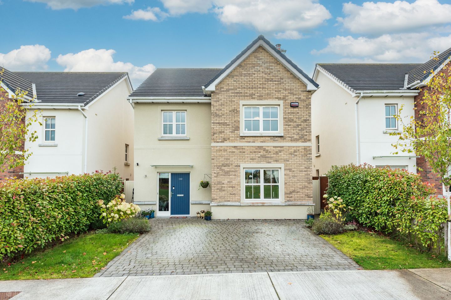 109 Stoneleigh, Naas, Co. Kildare, W91 V9Y6 — photo 1