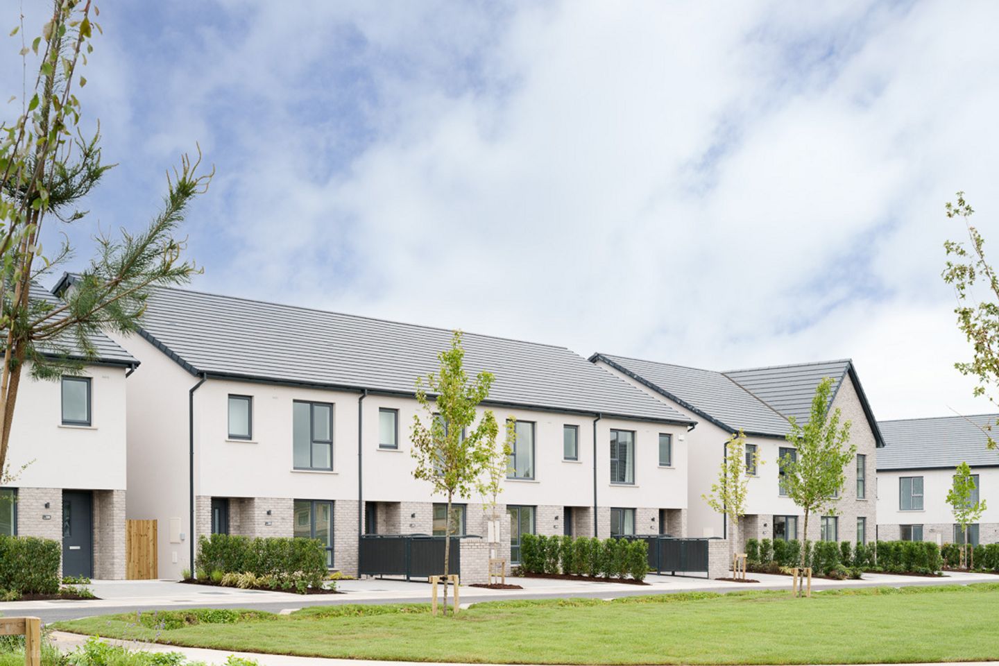 Stradowe Meadows, Athy, Co. Kildare — photo 1