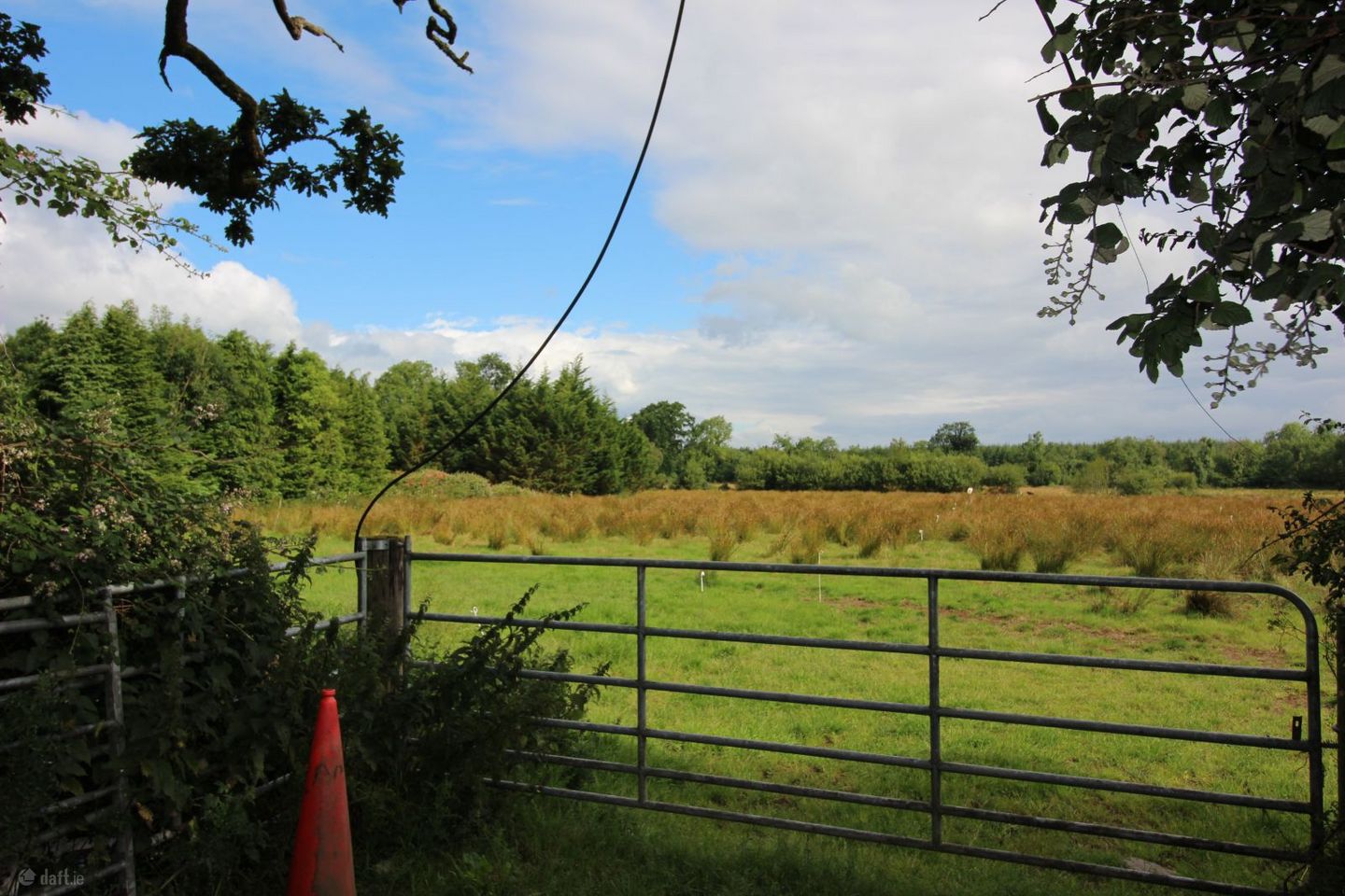 Limerick Road, Newport, Newport, Co. Tipperary, V94W60P — photo 1