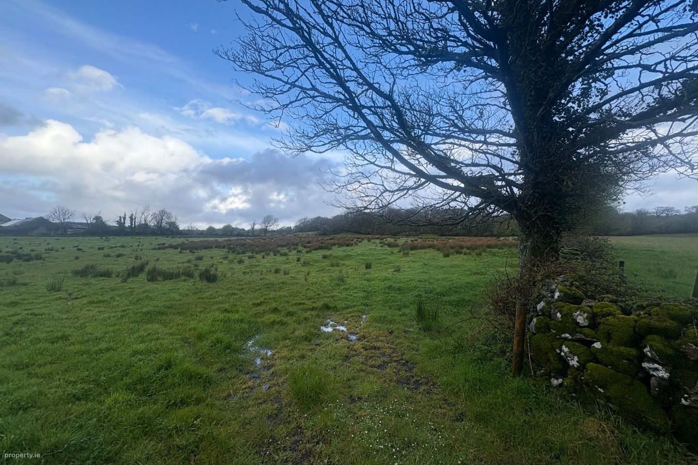 Ballykeel South, Kilfenora, Co. Clare — photo 1
