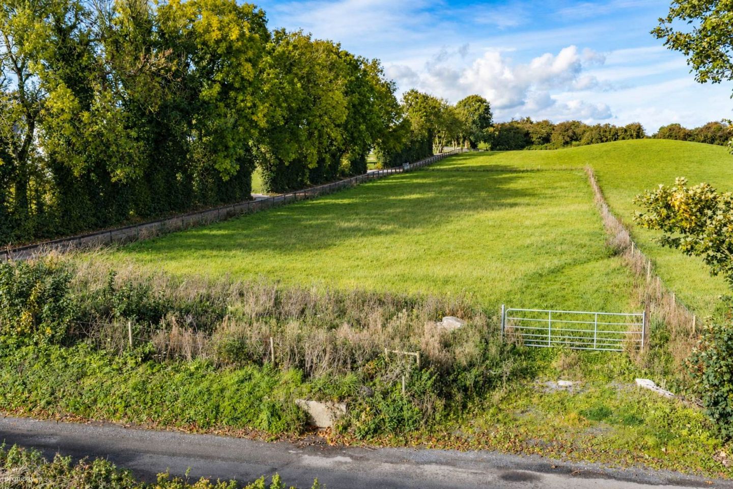 Jordanstown, Enfield, Co. Meath — photo 1