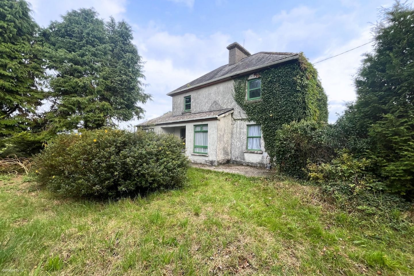 Lehinch Demesne, Hollymount, Hollymount, Co. Mayo, F12E006 — photo 1
