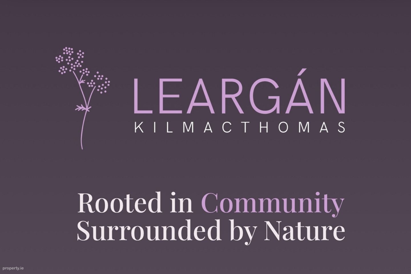 Leargán, Kilmacthomas , Kilmacthomas, Co. Waterford — photo 1