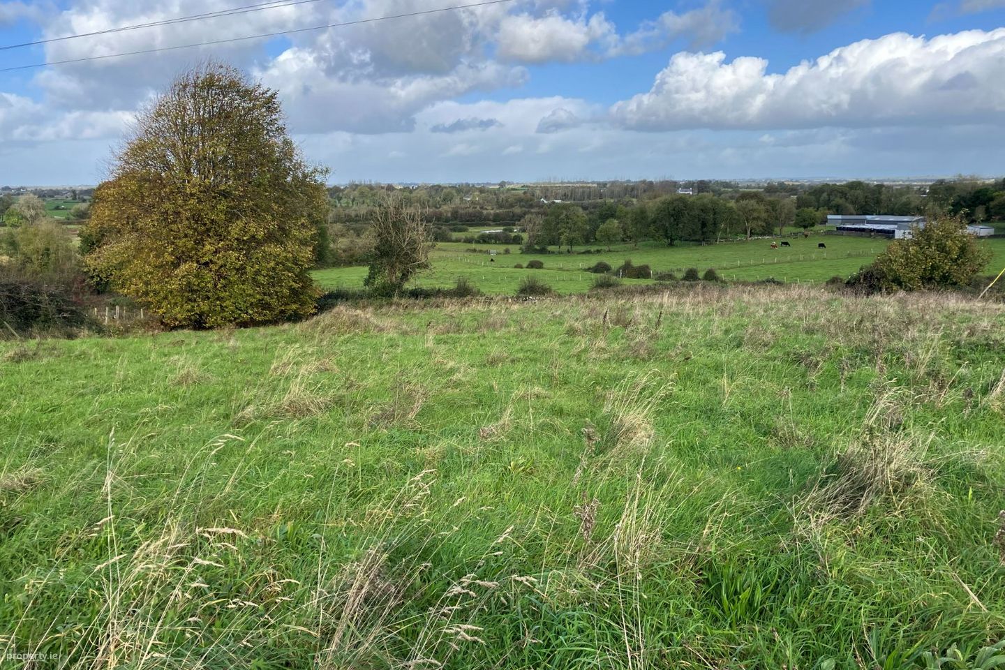 Carrowbeg, Belclare, Co. Galway — photo 1
