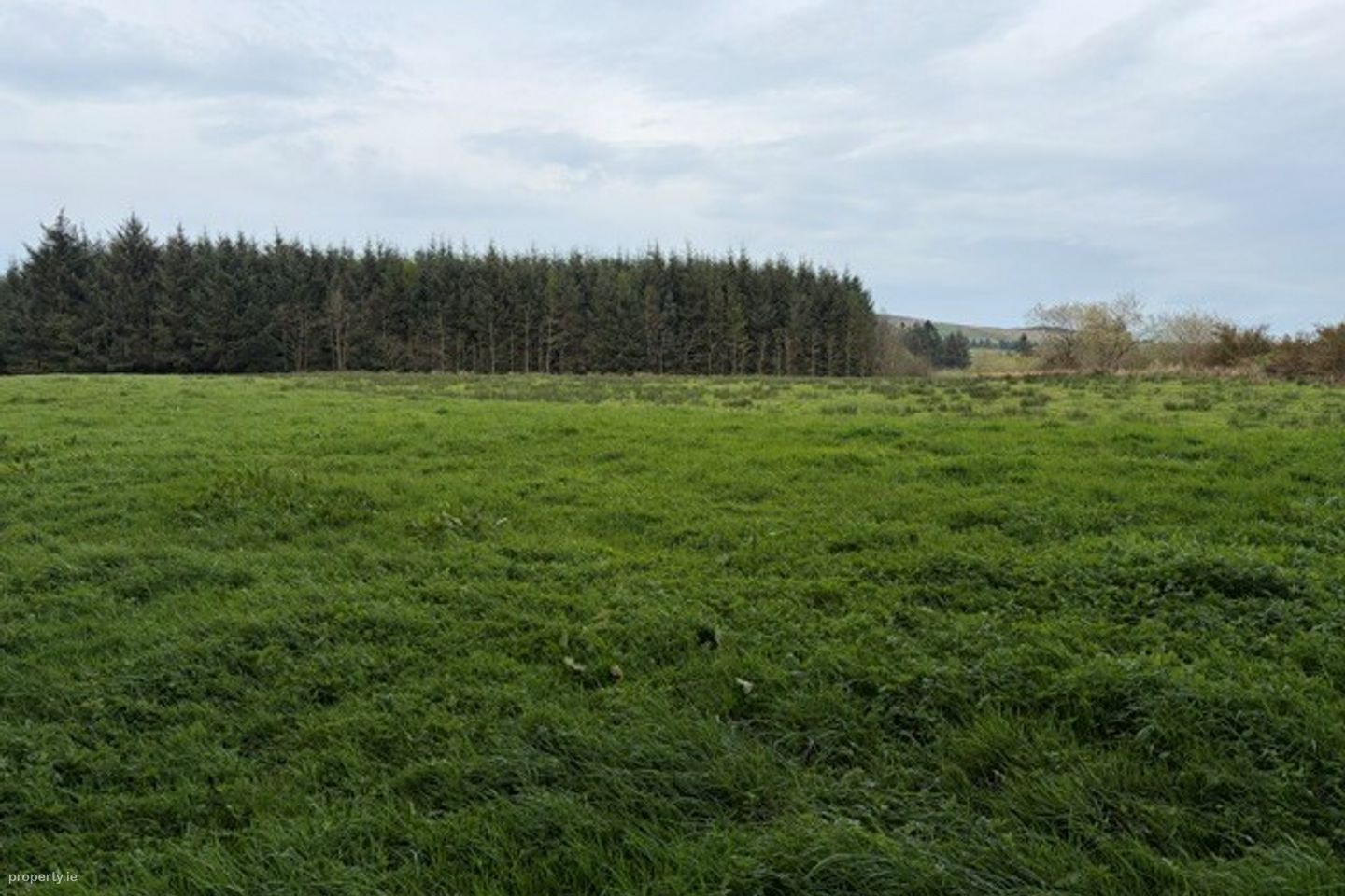 Foilnacanna, Kilcommon, Thurles, Co. Tipperary — photo 1