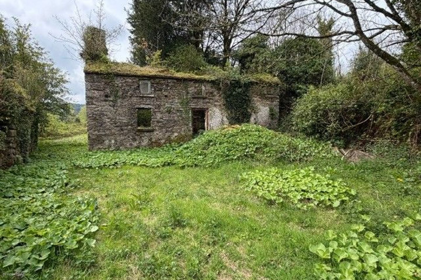 Ballyshane, Inistioge, Co. Kilkenny — photo 1