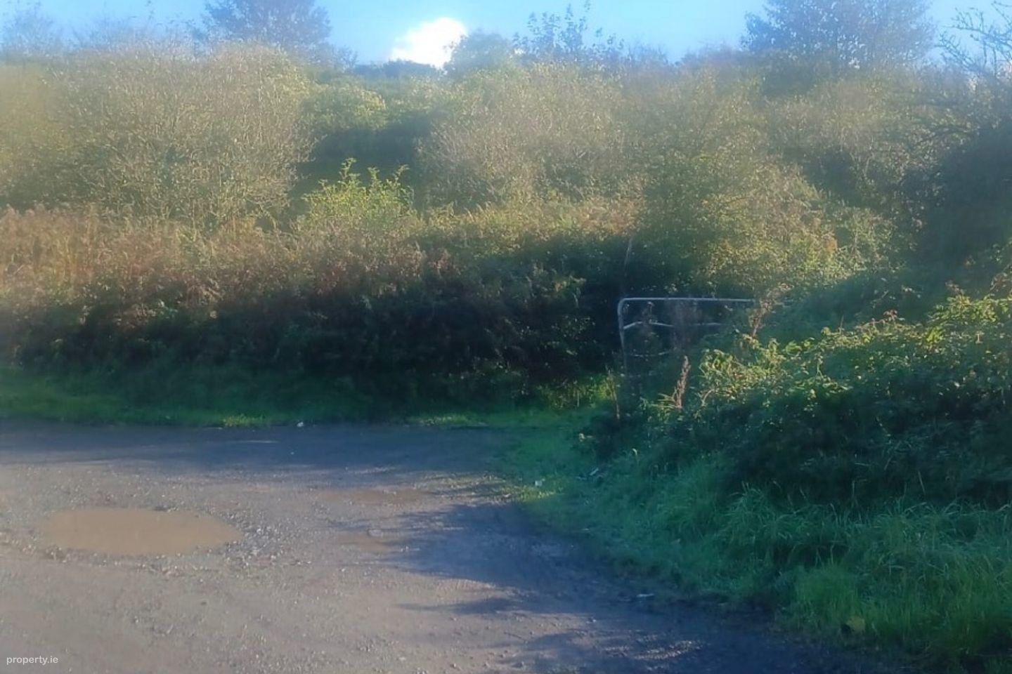 Rathkieran, Mooncoin, Carrigeen, Co. Kilkenny, X91WY18 — photo 1