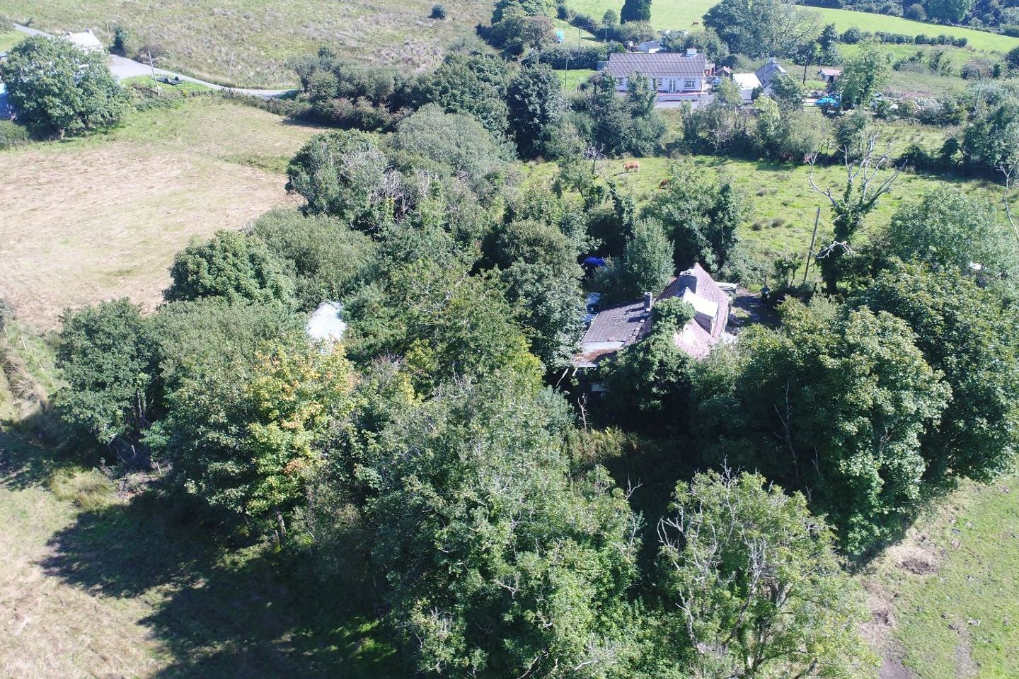 Greaghnafarna, Arigna, Altagowlan, Co. Roscommon, N41XF24 — photo 1