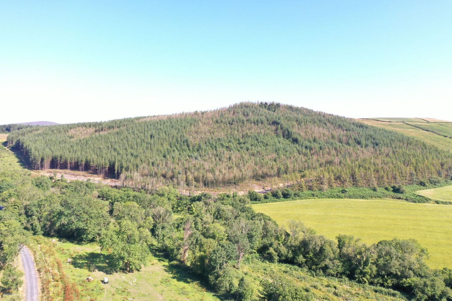 Saddle Hill, Blessington, Thomastown, Co. Kilkenny — photo 1