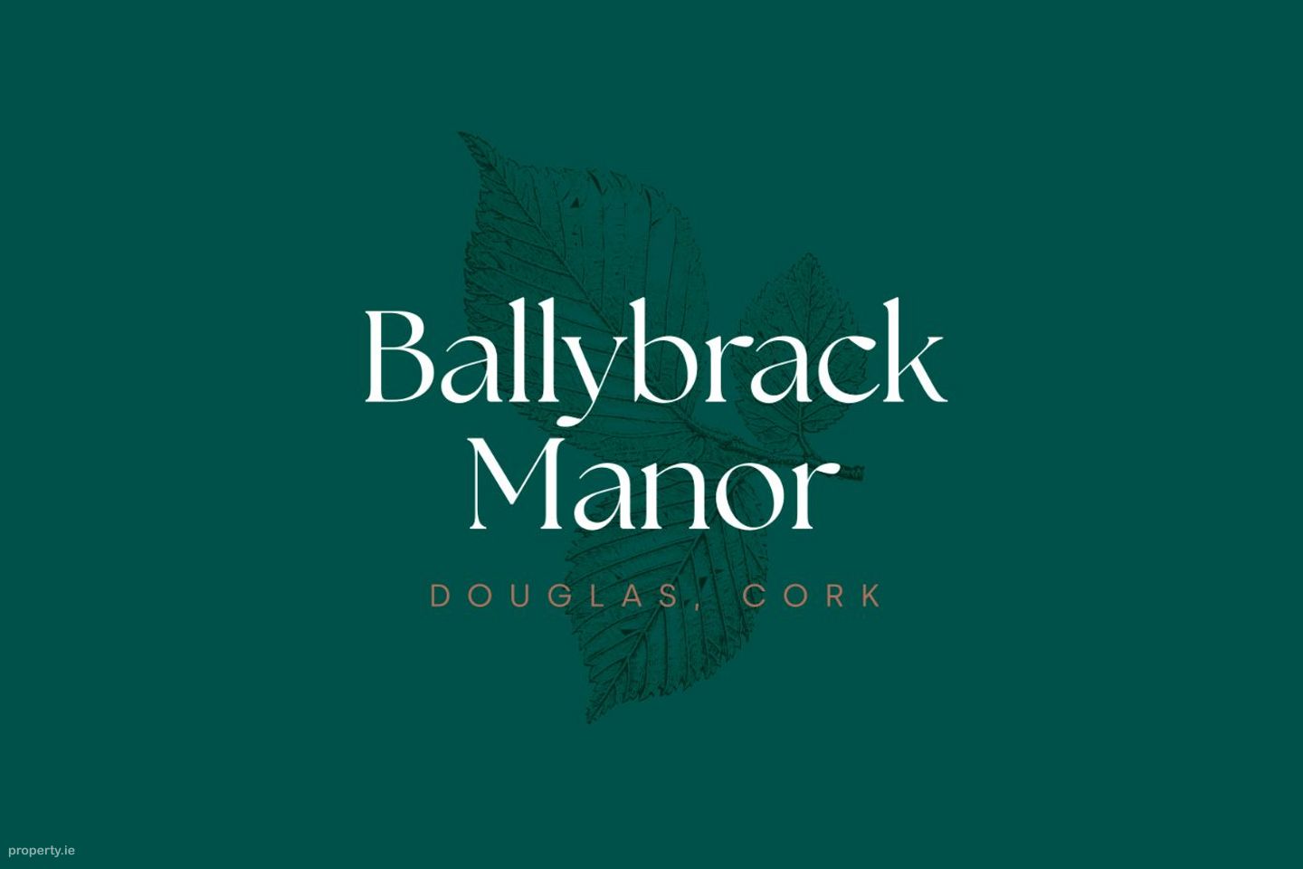 Ballybrack Manor, Douglas, Co. Cork — photo 1