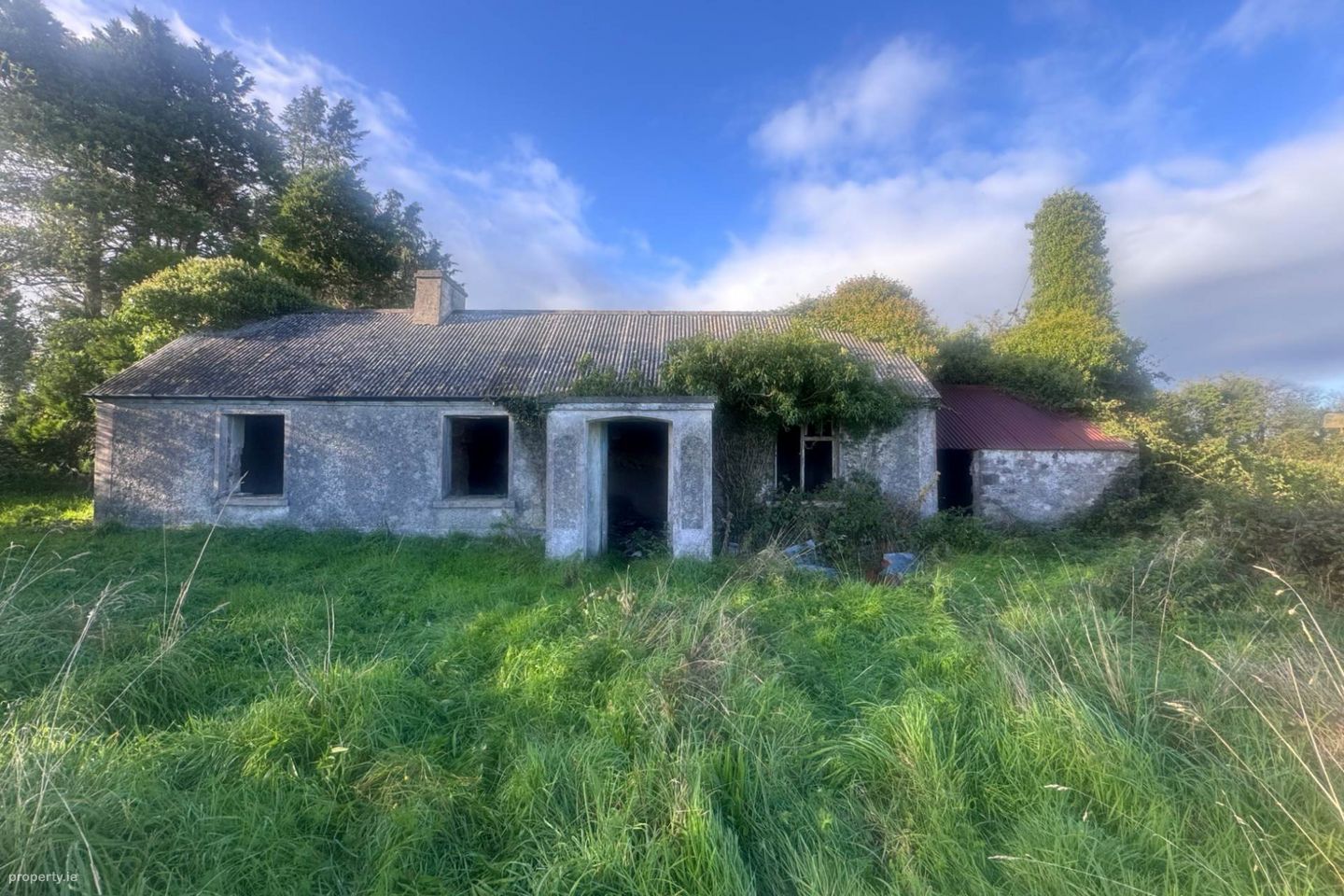 Tirlahode Upper (CN7278f), Cavan, Co. Cavan, H12W264 — photo 1