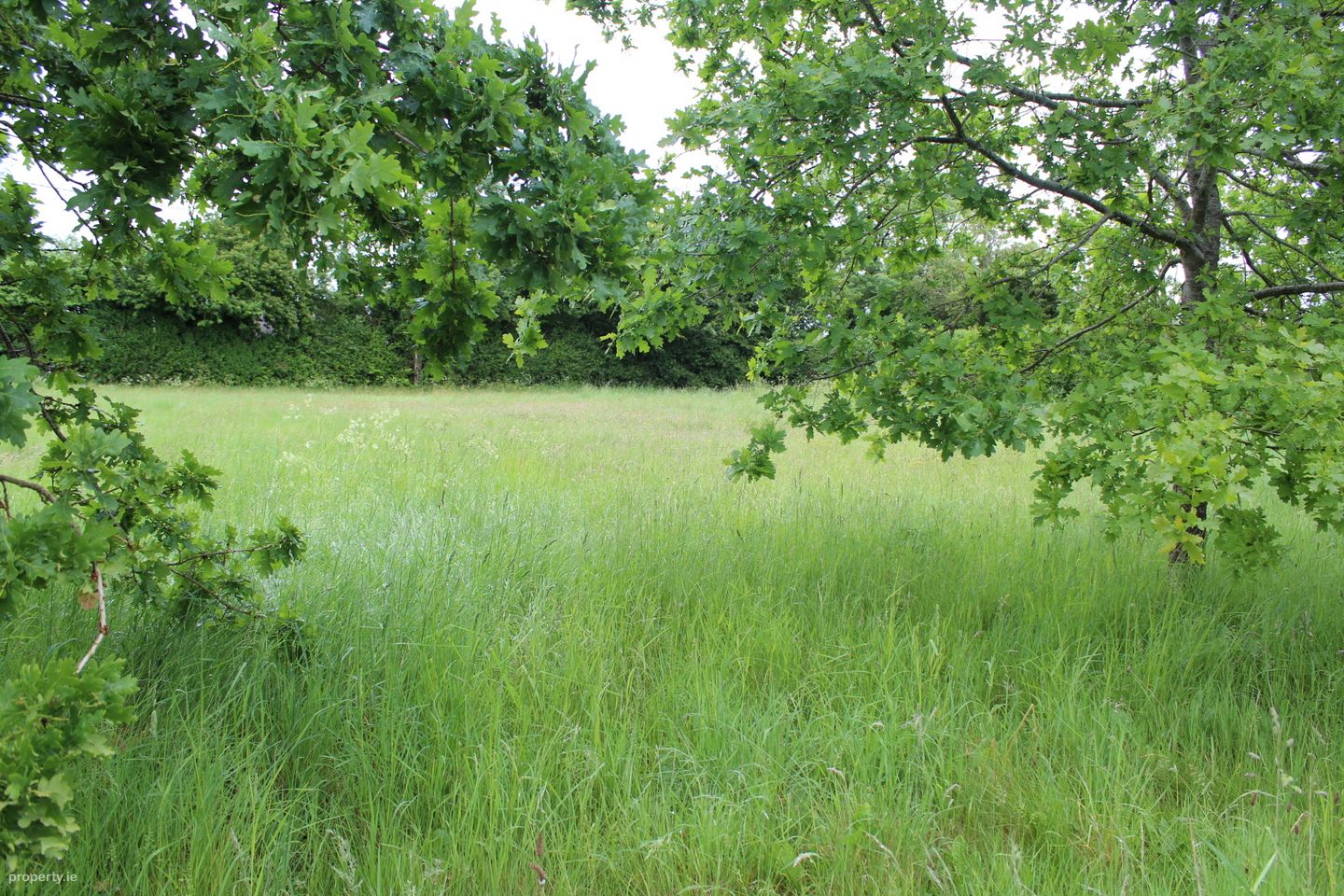 0.75 Acre Site Slyguff, Slyguff,, Bagenalstown,, Co. Carlow — photo 1