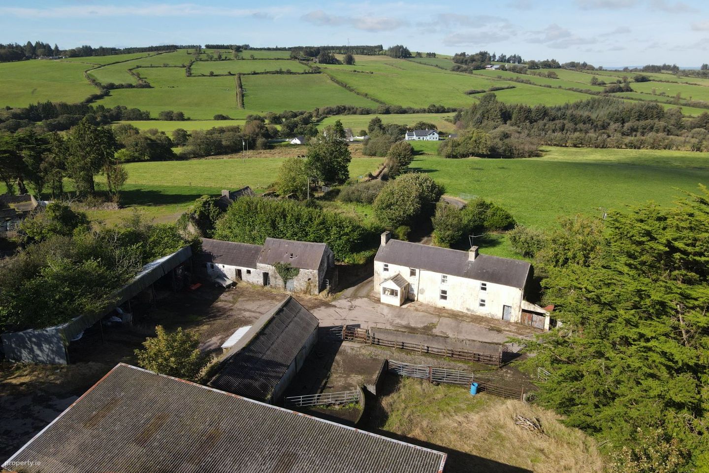 Tooreenbawn, Millstreet, Co. Cork, P51A0D7 — photo 1