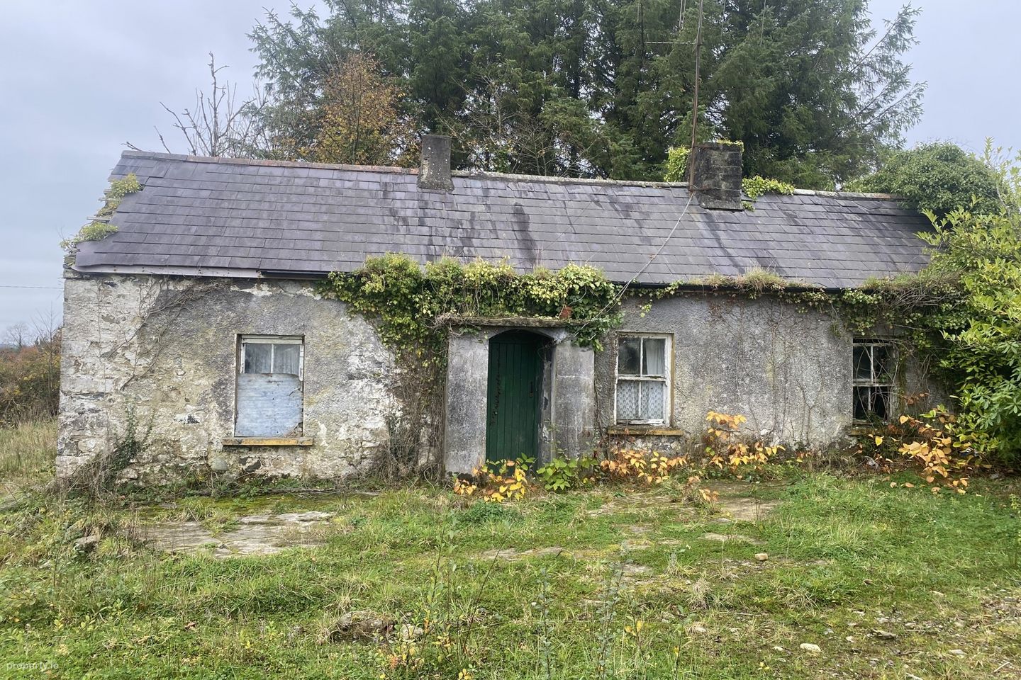 Larkfield, Granard, Co. Longford, N39N9R2 — photo 1