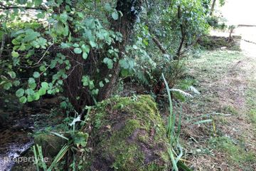 Rathana, Borris, Co. Carlow — photo 2