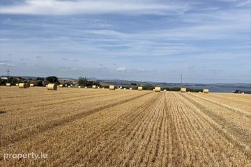 Ballyskibole, Knockadoon, Ballymacoda, Co. Cork, P25CD52