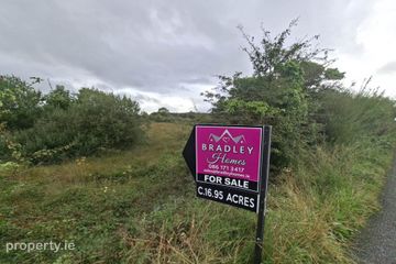 C. 28.89 Acres, Cuilmore, Gurteen, Co. Sligo, F56WF50