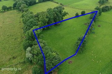 C. 1.25 Aces At, Lisnagavragh, Four Roads, Co. Roscommon