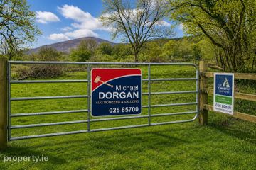 c.53 acres Forrest, Rearoe, Clogheen near, Mitchelstown, Co. Cork