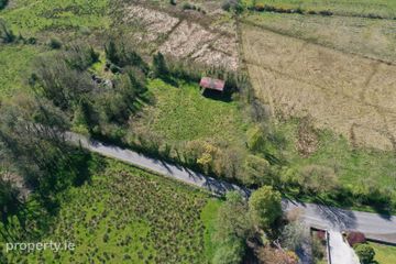 Rushpark, Farragher, Ballymacurley, Co. Roscommon — photo 3