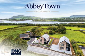 Abbeytown, Ballisodare, Ballisodare, Co. Sligo — photo 2