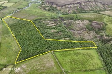 Treanboy, Ballymoe, Co. Roscommon