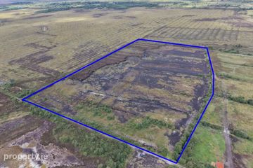 C. 14 Acres, Feevagh More, Dysart, Co. Roscommon