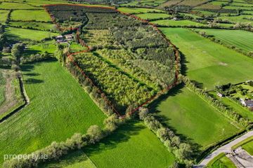 Carraigeen, Baltinglass, Co. Wicklow