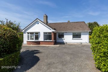 Saint Anthony, Coolcotts Lane, Wexford Town, Co. Wexford, Y35T9N6