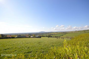 Site `A` Moneyribbon, Coolgreany, Co. Wexford