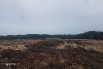 Tyreda Upper, Tulla, Co. Clare — photo 2