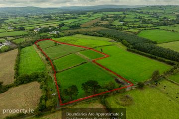 Dromtrasna Collins, Abbeyfeale, Co. Limerick