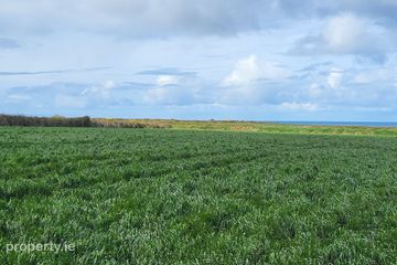 Drumnacurra, Causeway, Co. Kerry