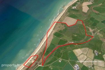 Ringbawn/Ballagh Land (132.5 Acres), Tacumshane, Co Wexford