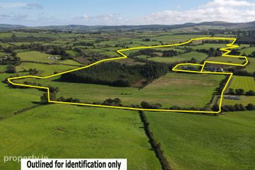 Tooreenbane, Millstreet, Co. Cork — photo 3