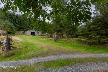 Quintagh, Valleymount, Valleymount, Co. Wicklow, W91AYX6 — photo 3