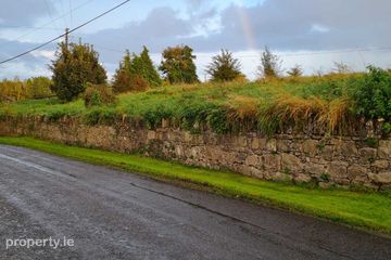 C.23.3 Acres Agricultural Land at Stampspark ,Station Road, Thomastown, Co. Kilkenny