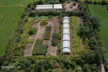 Stams Bamboo Nursery Ltd., Ballinwillin, Lismore, Co. Waterford, P51DK12