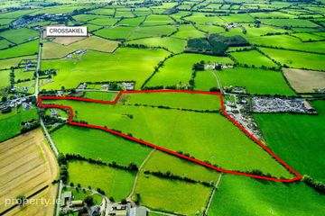 33.5 Acres Ranavogue, Crossakiel, Kells, Co. Meath, A82XY92